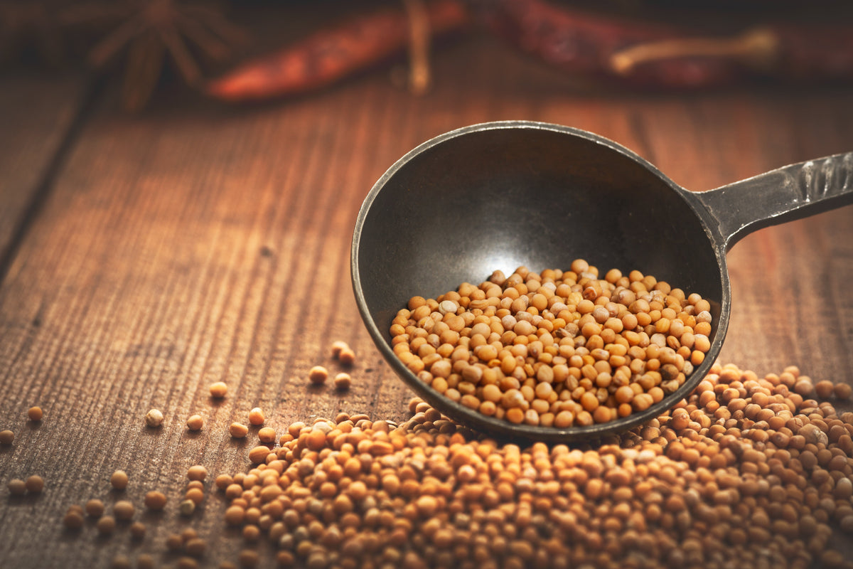 Jia's Miso Mustard Ginger Dressing – Omica Organics