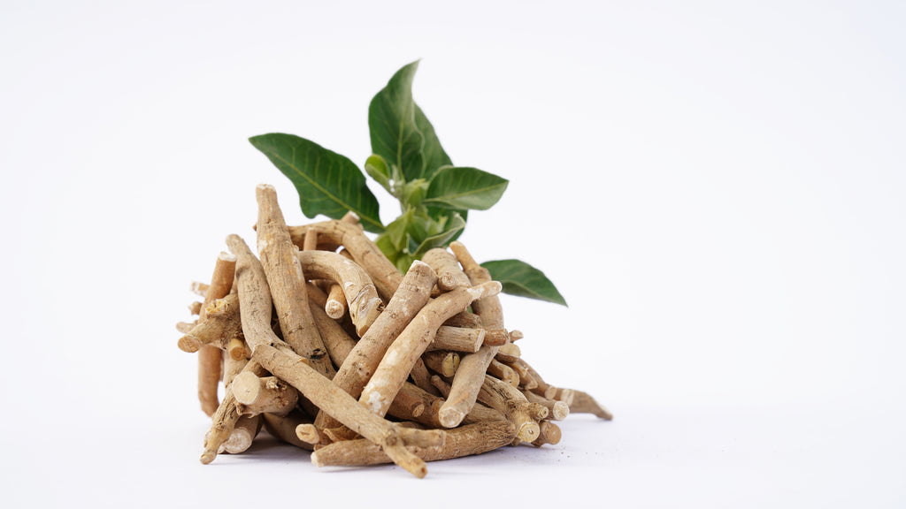 Ashwaganda Root, Ashwaganda powder