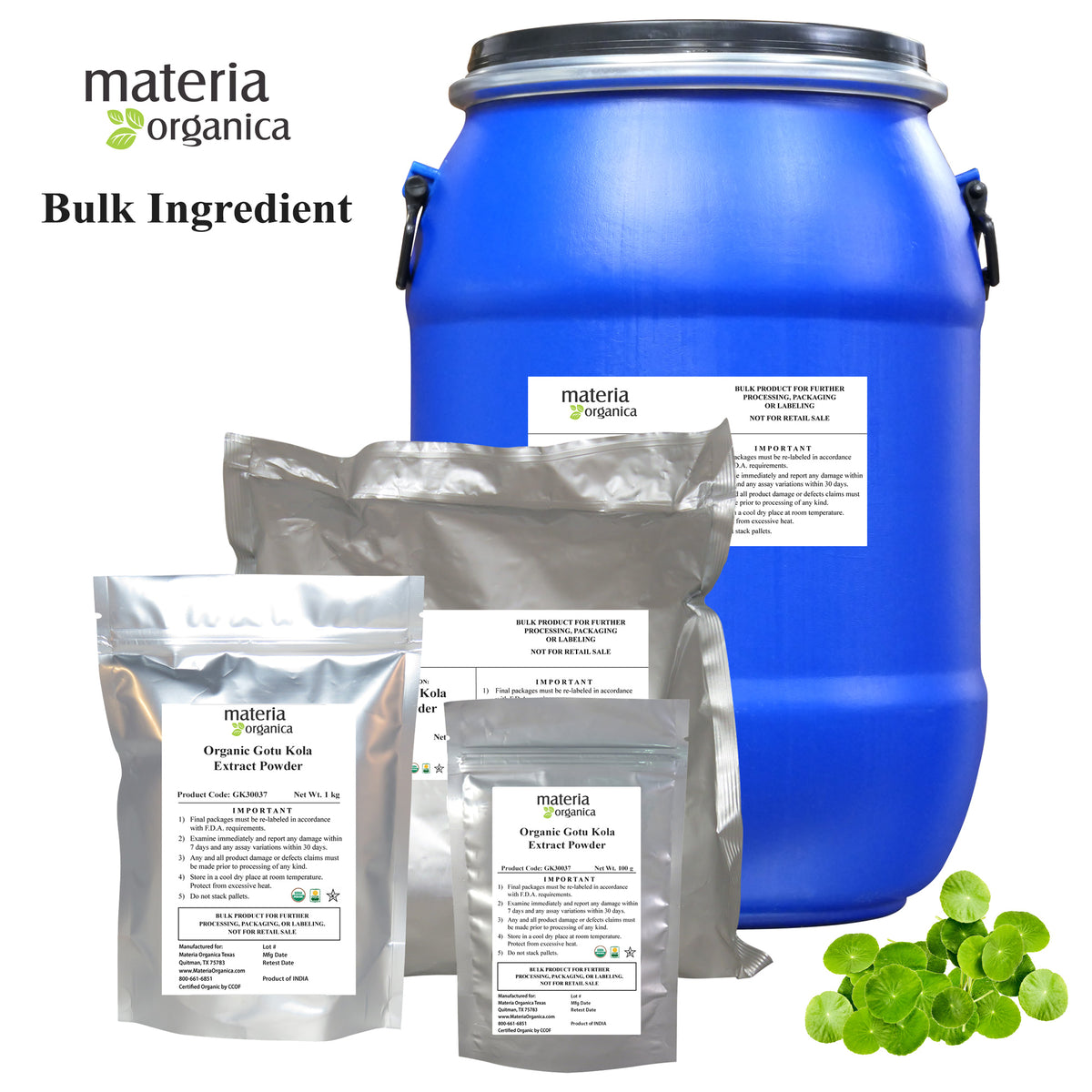 Bulk Organic Gotu Kola Extract Powder, 10 Triterpenes by Titration