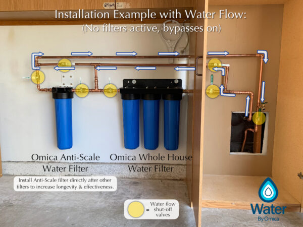 Water Filter Diagram WholeHouse Antiscale